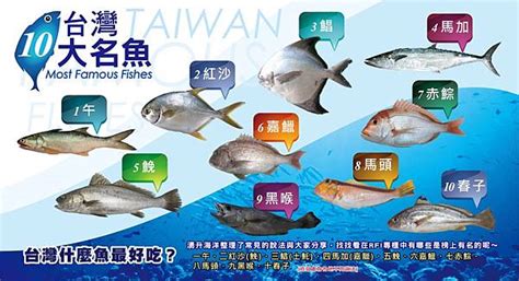 台灣魚排名|台灣好魚排行榜